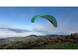 gin-bolero7-l-green-juin-2022_1
